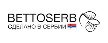 Bettoserb