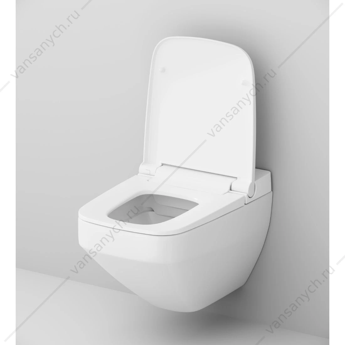 Унитаз с функцией биде интегрир. электр. TouchReel AM.PM Inspire V2.0  CCC50A1700SC