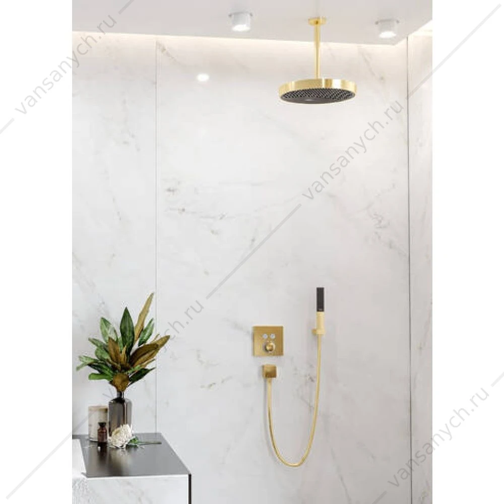 Ручной душ HG Rainfinity Baton 100 1jet, EcoSmart золото 26867990