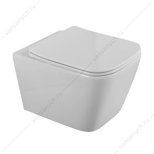 Унитаз безободковый с сиденьем микролифт, быстросъем  BelBagno DUE 2.0 BB7107CHR/SC