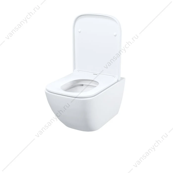 Унитаз безободковый подвесной,  Torr, IDDIS, TORRDSEi25
